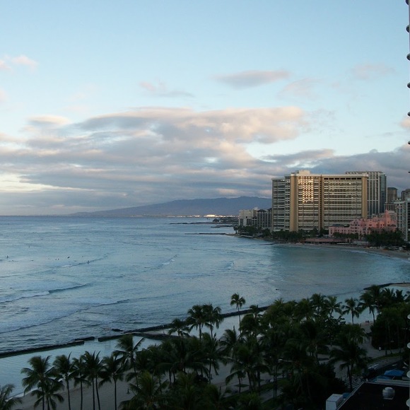 Meet your Posher, Rogene - Picture 1 of 1